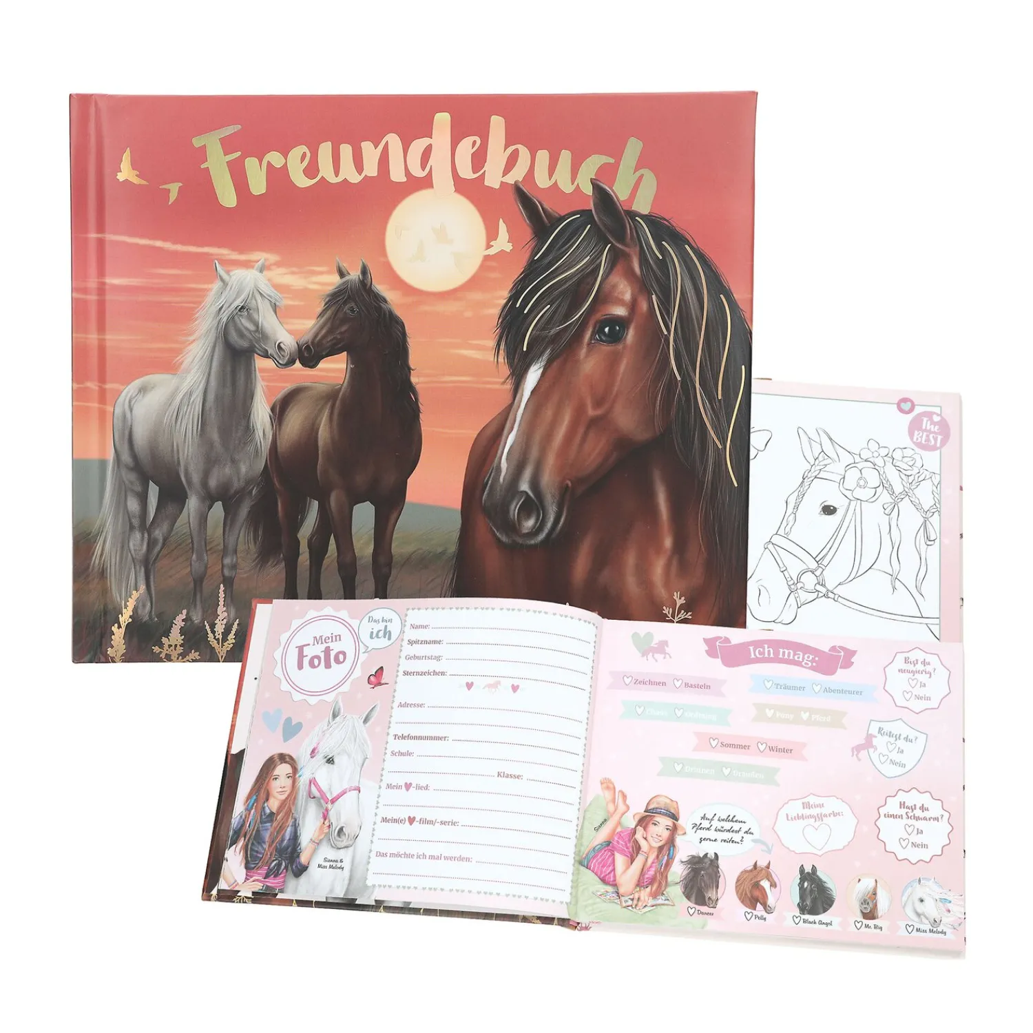 Loesdau Geschenke Für Reiter<Miss Melody Freundebuch Motiv 2
