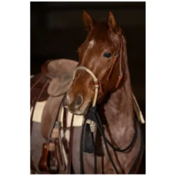 Loesdau Gebisslose Trensen<Passion 4Q Bosal Set