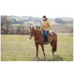 Herren Passion 4Q Reitjacken<Canva Boberjacke für Herren