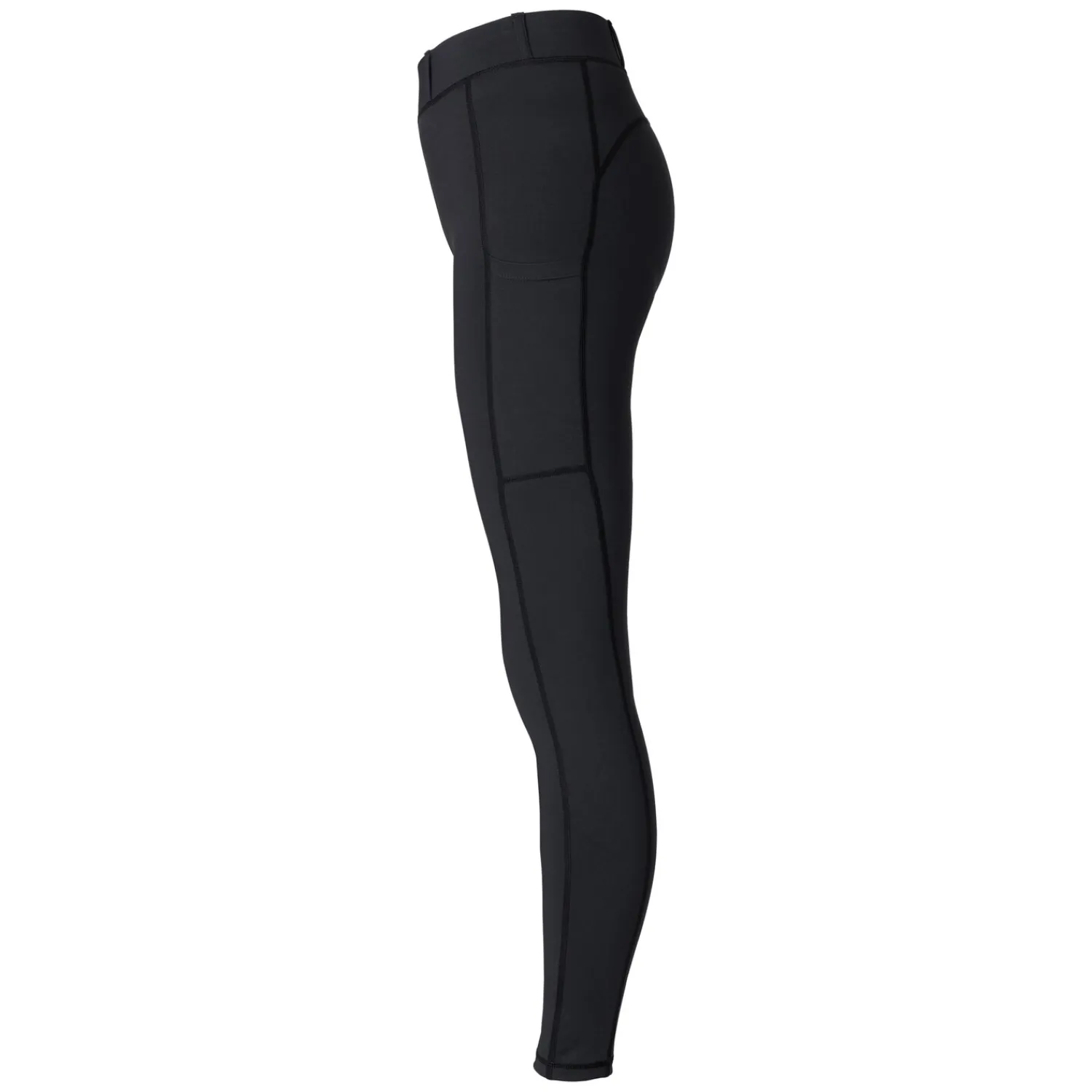 Damen Passion 4Q Reithosen<Shaping-Reitleggings