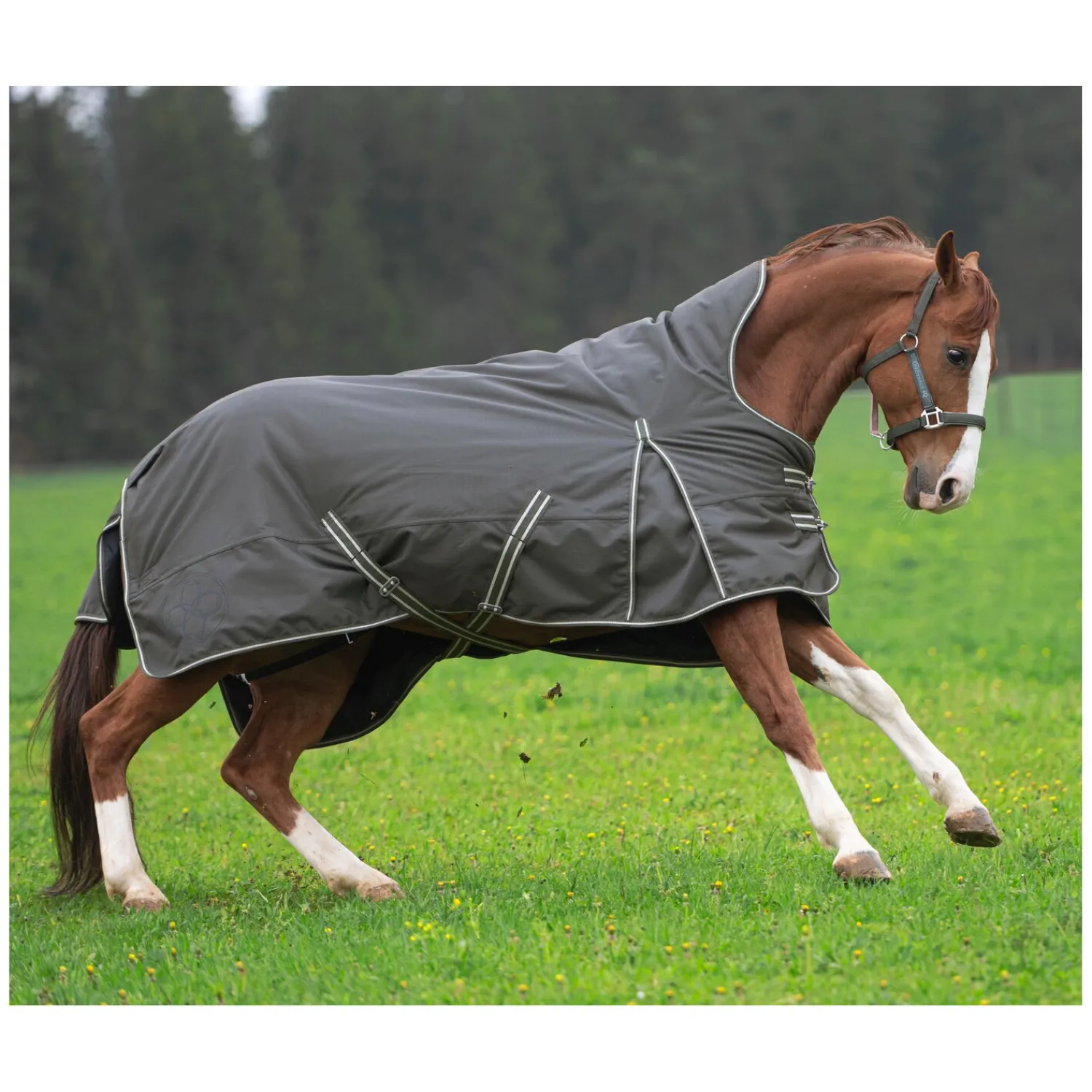 Passion 4Q Pferdedecken<3-Zonen Outdoordecke