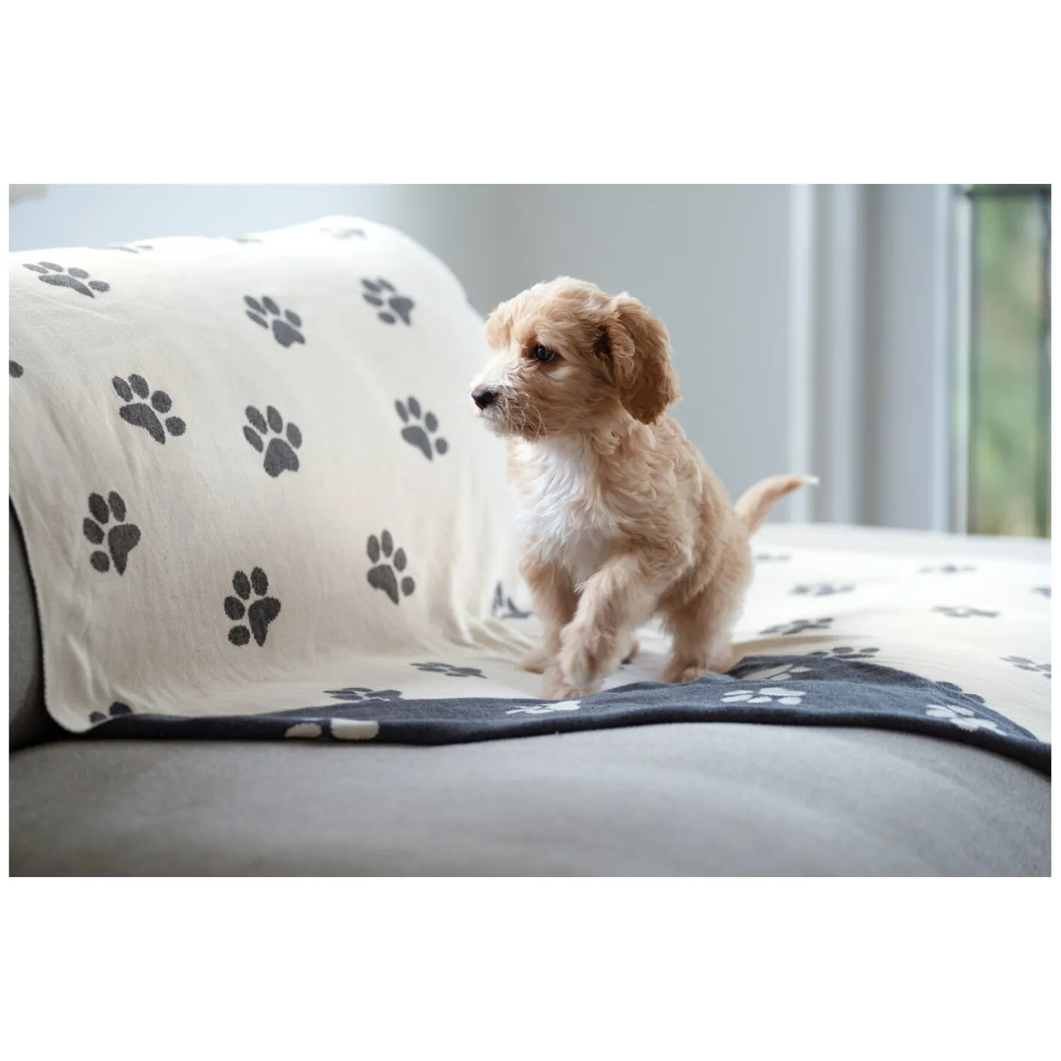 Loesdau Hundebetten<pawberry Baumwolldecke