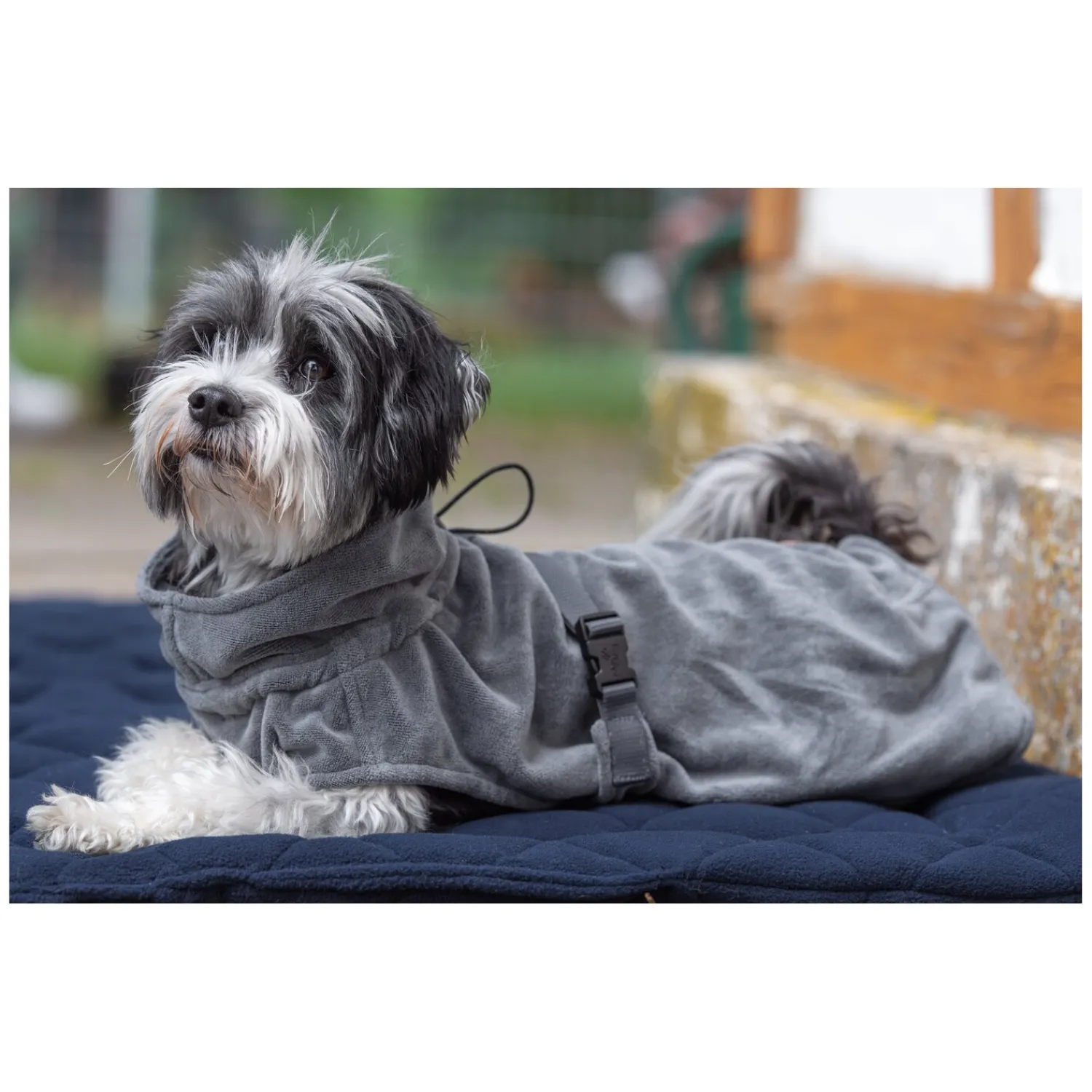 pawberry Hundemäntel<Hundebademantel Dublin