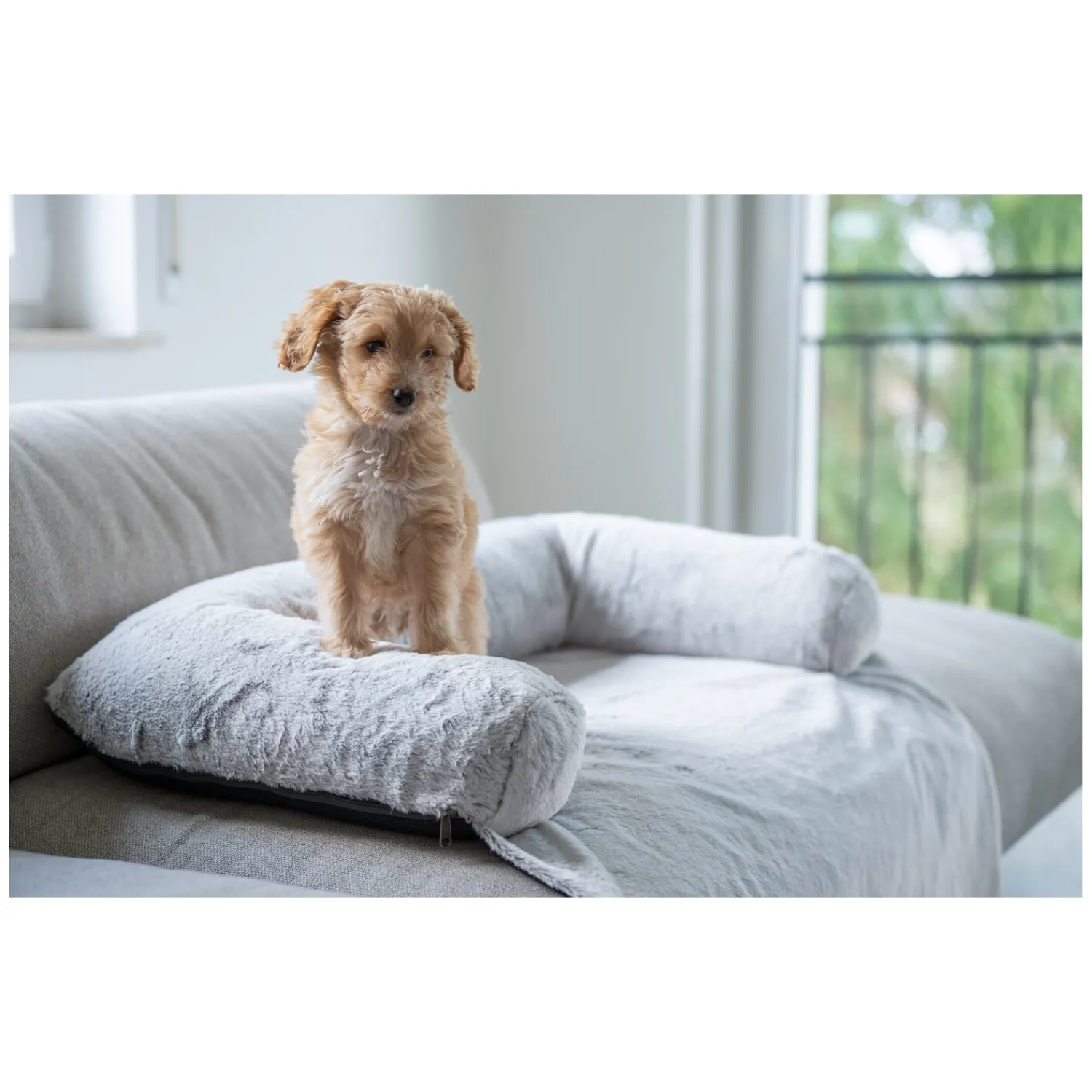 Loesdau Hundebetten<pawberry Hundebett Sofa