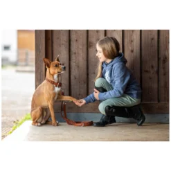 pawberry Hundehalsbänder<Hundehalsband Praha