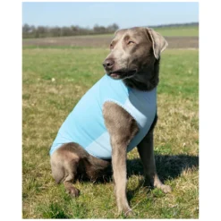 pawberry Hundemäntel|Abkühlen Und Regenerieren<Hunde-Kühlweste Porto