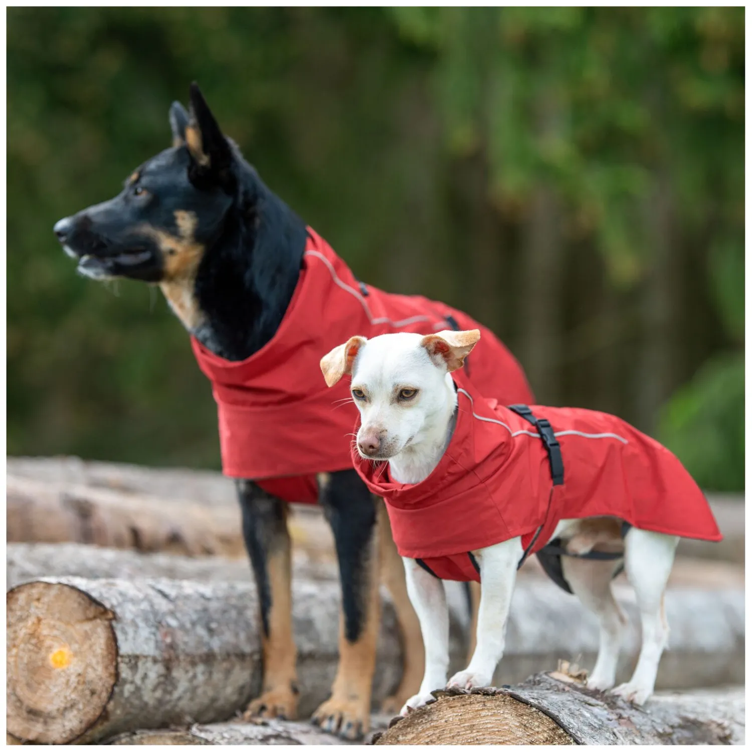 pawberry Hundemäntel<Hundemantel Rainstormer