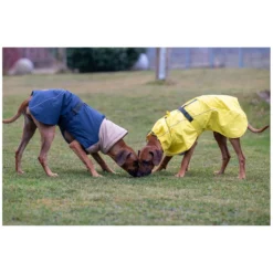 pawberry Hundemäntel<Hundemantel Rainstormer