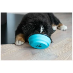 Loesdau Futternäpfe<pawberry Hundenapf faltbar
