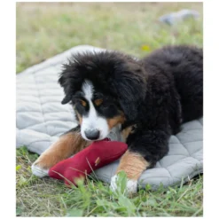 pawberry Hundebetten<Hundeplatzdecke Fleece