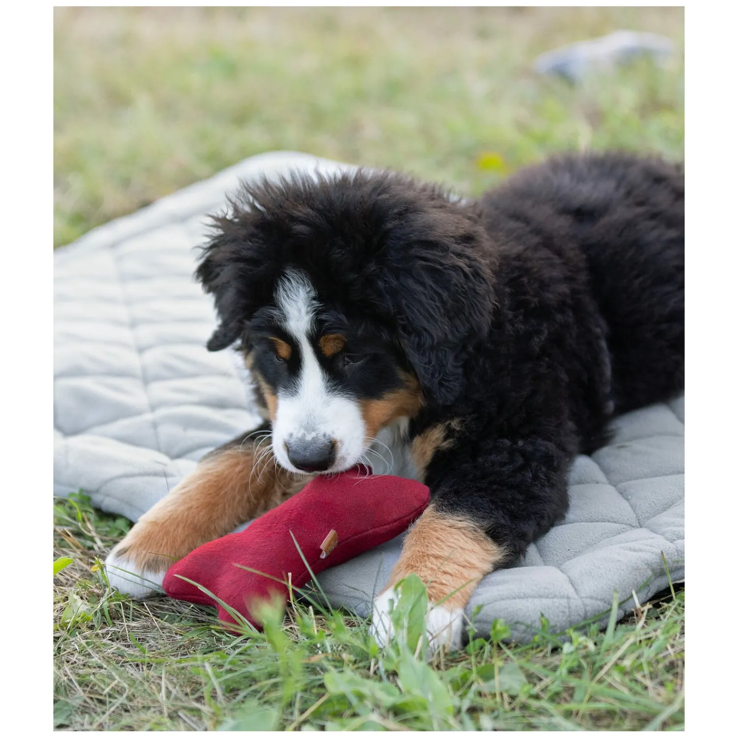 pawberry Hundebetten<Hundeplatzdecke Fleece