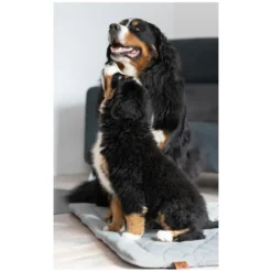 pawberry Hundebetten<Hundeplatzdecke Fleece