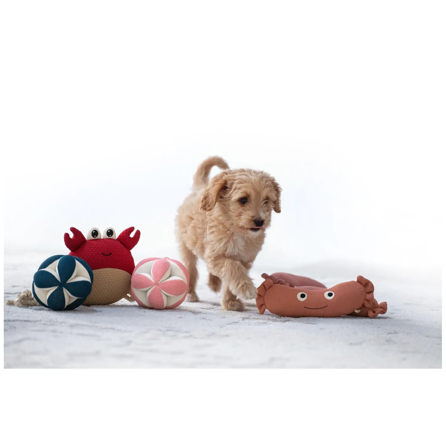 Loesdau Hundespielzeug<pawberry Hundespielball Leckerli