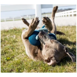 Loesdau Hundespielzeug<pawberry Hundespielzeug Krake