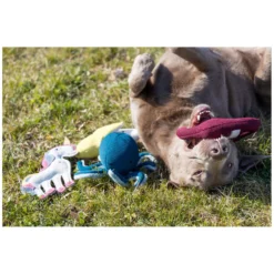 Loesdau Hundespielzeug<pawberry Hundespielzeug Krake