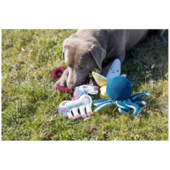 Loesdau Hundespielzeug<pawberry Hundespielzeug Krake