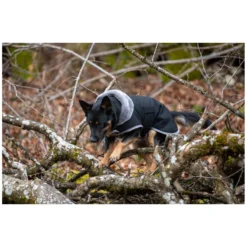 pawberry Hundemäntel<Hunde-Wintermantel Stockholm