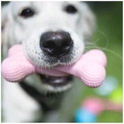 Loesdau Hundespielzeug<pawberry Knochen