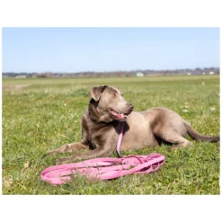 pawberry Hundeleinen<Schleppleine Doncaster