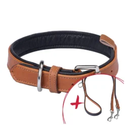 Loesdau Hundehalsbänder|Vorteils-Sets<pawberry Set Gassi L-XL Hundehalsband + Hundeleine Melun
