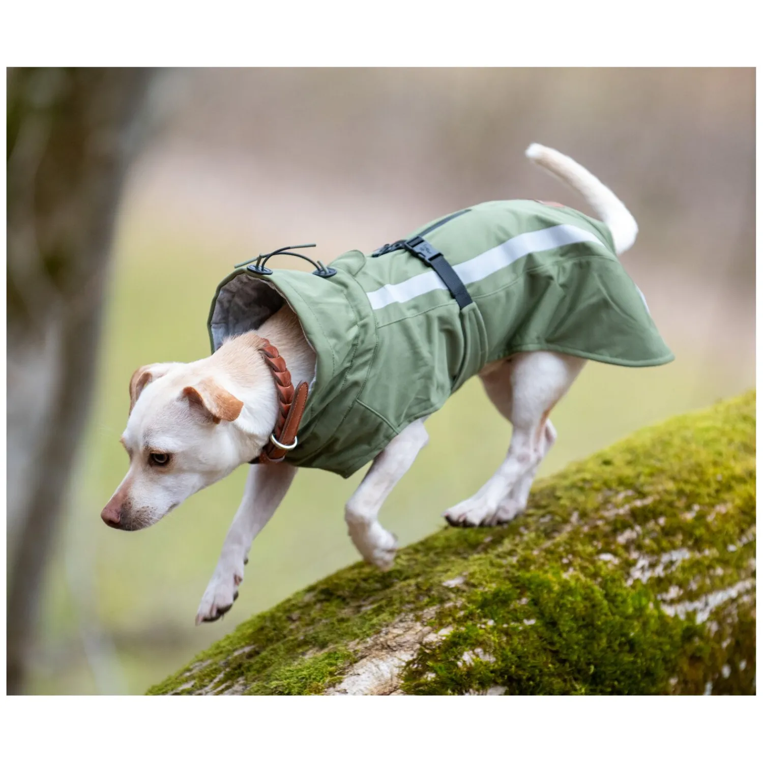 pawberry Hundemäntel<Softshell-Hundemantel Reus
