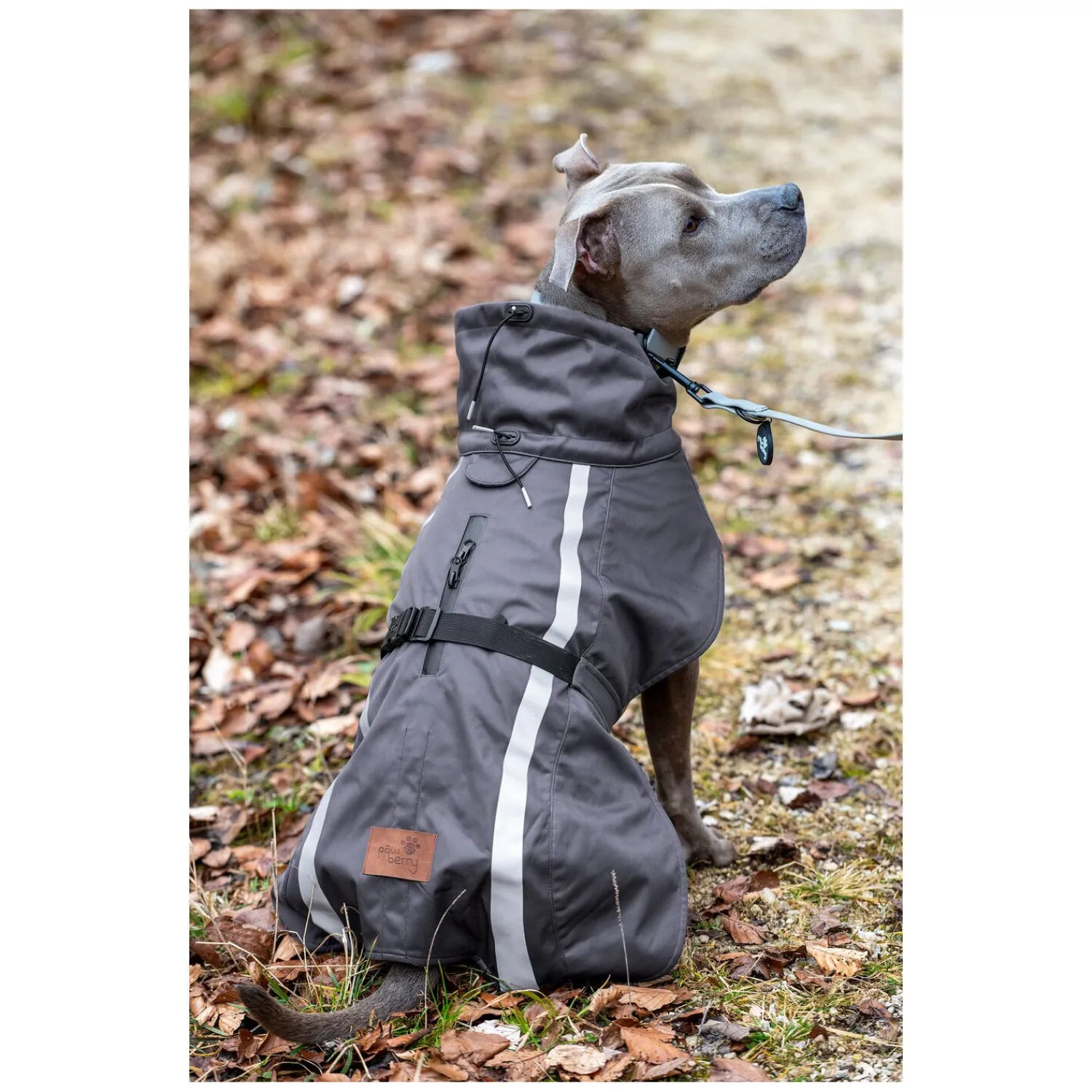 pawberry Hundemäntel<Softshell-Hundemantel Reus