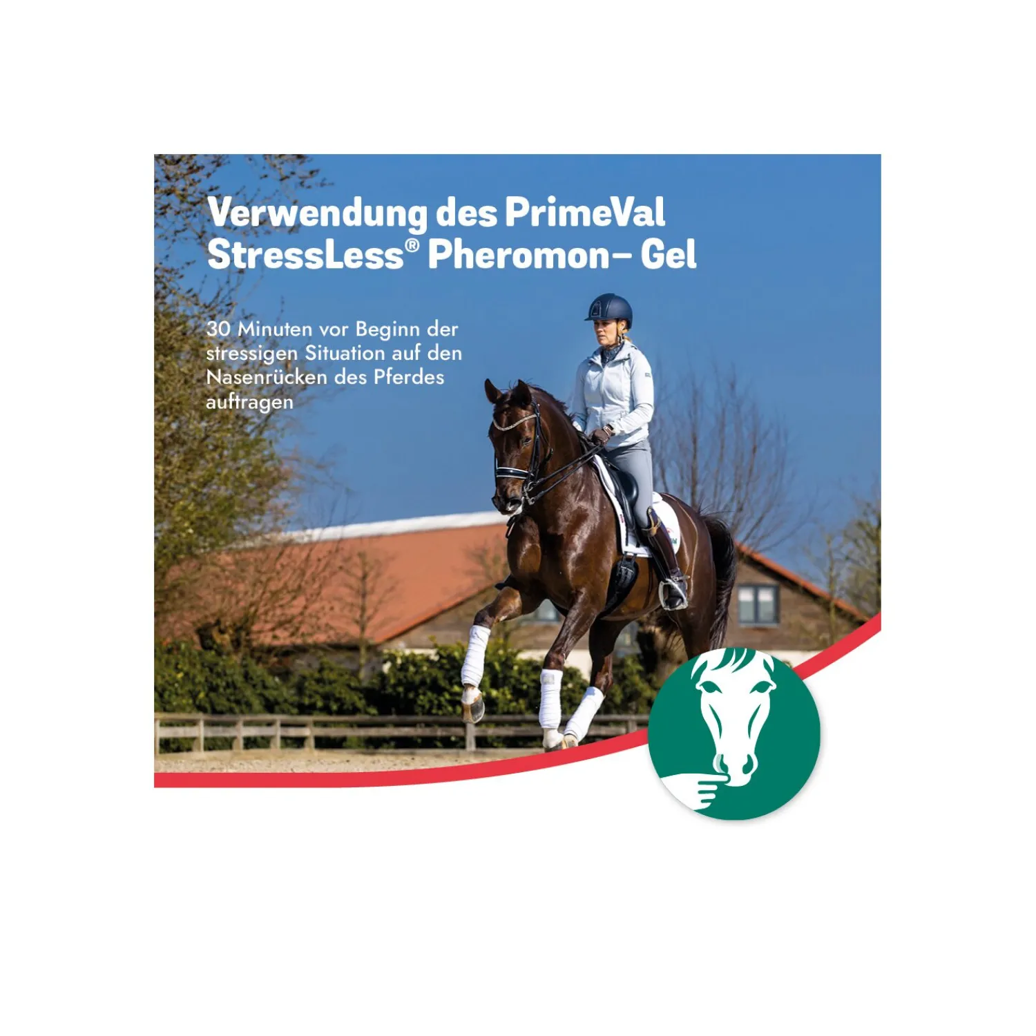 Loesdau Stallapotheke<PrimeVal StressLess Pheromon-Gel
