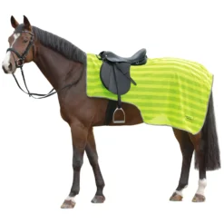 PROTECT by Horse-Friends Pferdedecken<Ausreitdecke