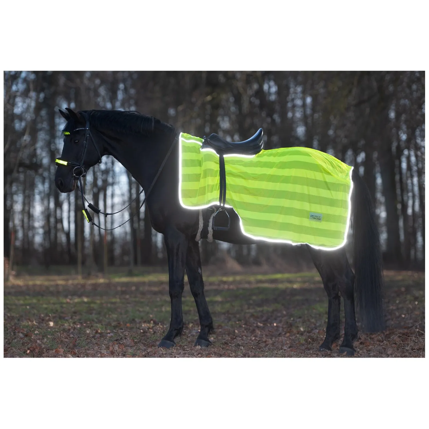 PROTECT by Horse-Friends Pferdedecken<Ausreitdecke