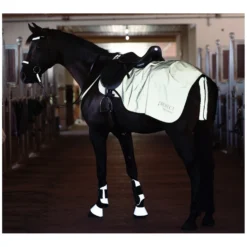 PROTECT by Horse-Friends Pferdedecken<Ausreitdecke