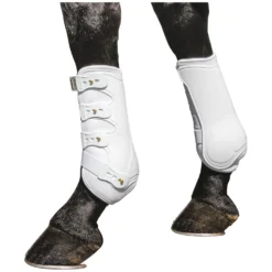 PROTECT by Horse-Friends Gamaschen<Dressurgaaschen Aadora V, vorne