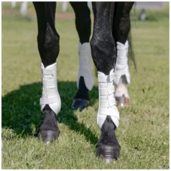 PROTECT by Horse-Friends Gamaschen<Dressurgaaschen Aadora H, hinten