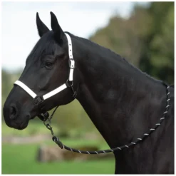 Loesdau Führstricke<PROTECT by Horse-friends Führstrick