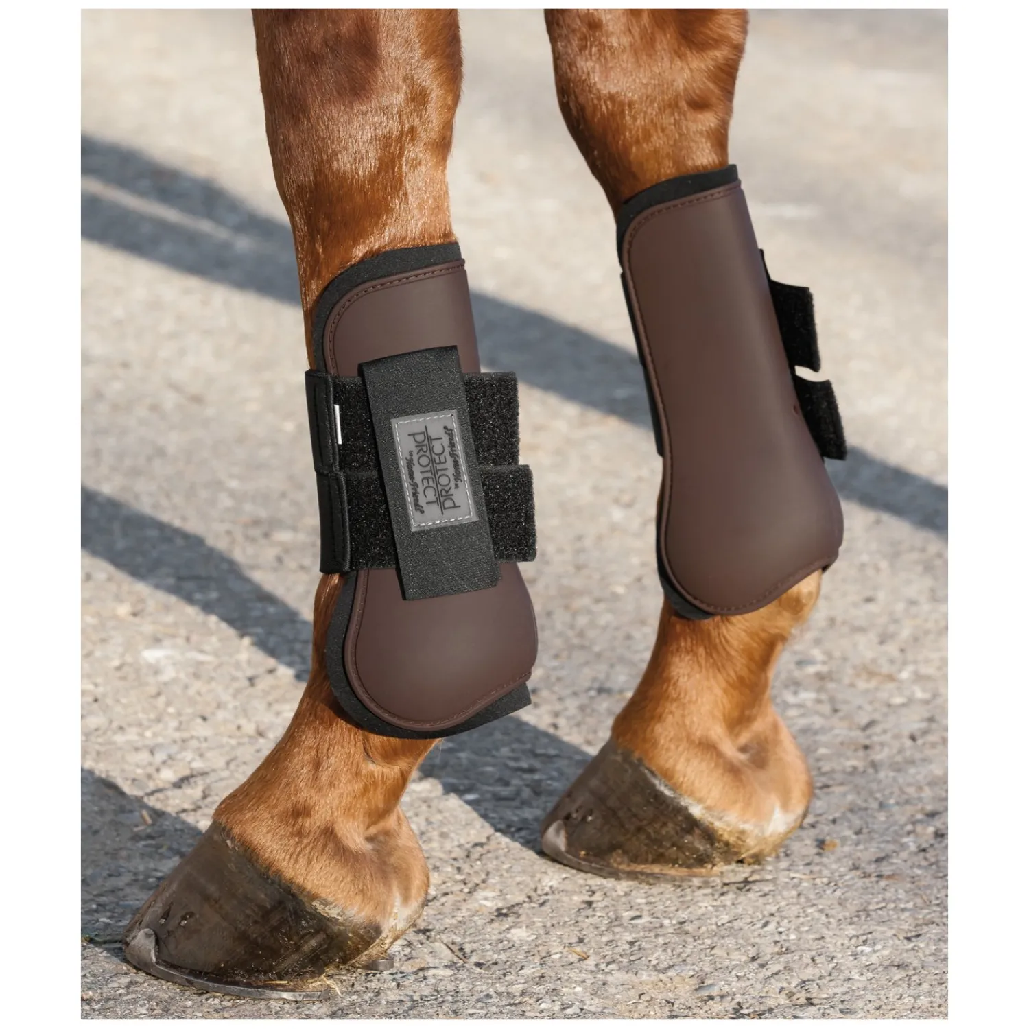 PROTECT by Horse-Friends Gamaschen<Gamaschen, vorne