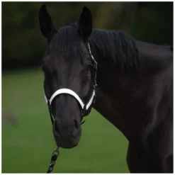 PROTECT by Horse-Friends Halfter<Halfter