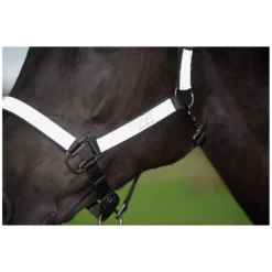 PROTECT by Horse-Friends Halfter<Halfter