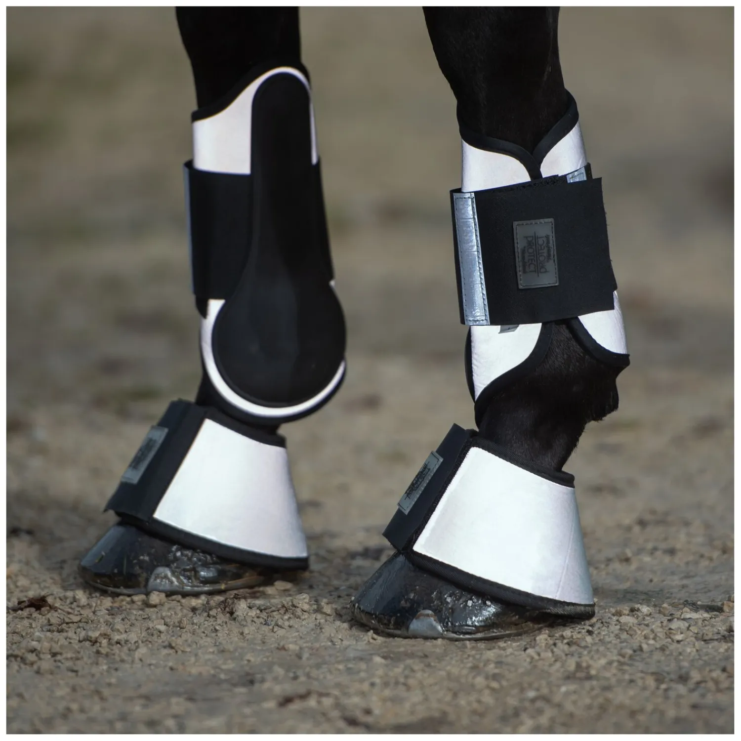 PROTECT by Horse-Friends Hufglocken<Hufgocken