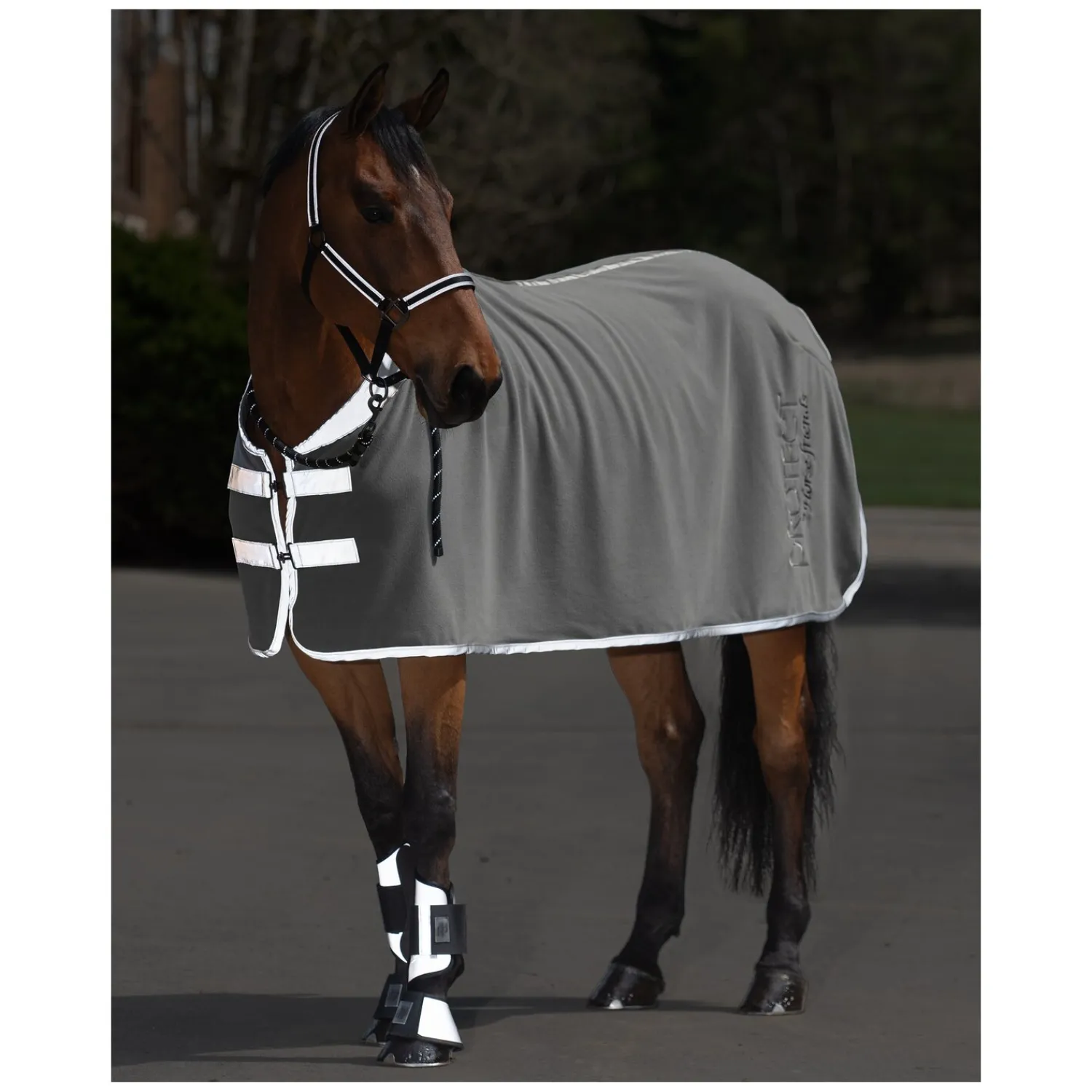 Horse-friends Pferdedecken|Transportdecken<PROTECT by Reflektierende Abschwitzdecke