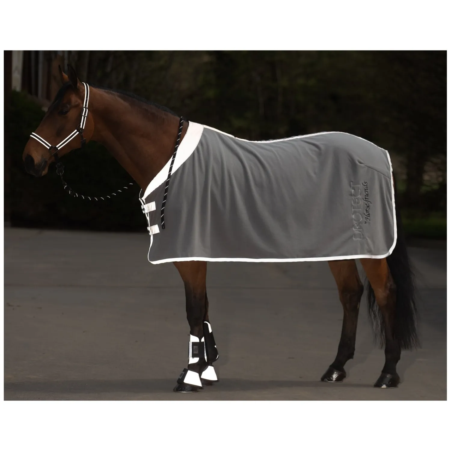 Horse-friends Pferdedecken|Transportdecken<PROTECT by Reflektierende Abschwitzdecke