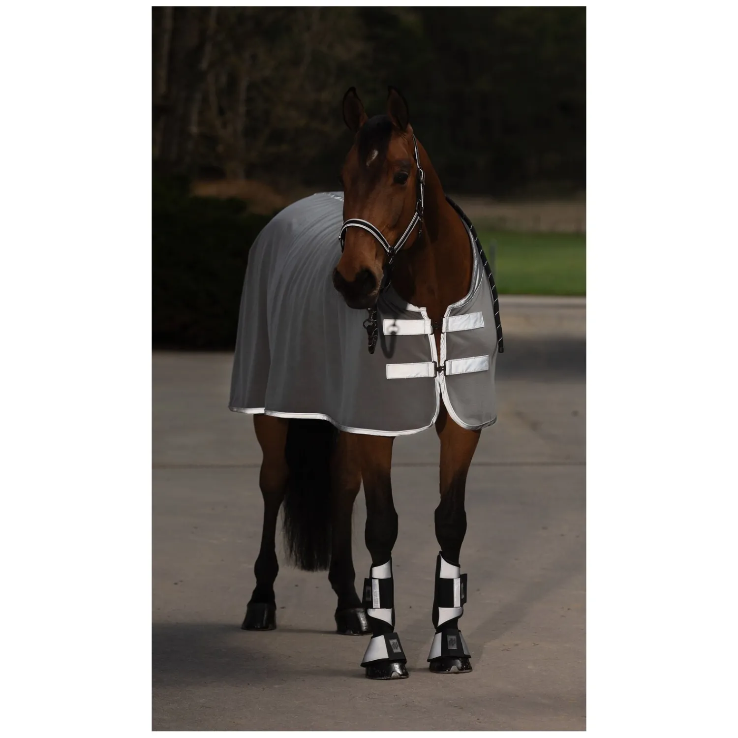 Horse-friends Pferdedecken|Transportdecken<PROTECT by Reflektierende Abschwitzdecke