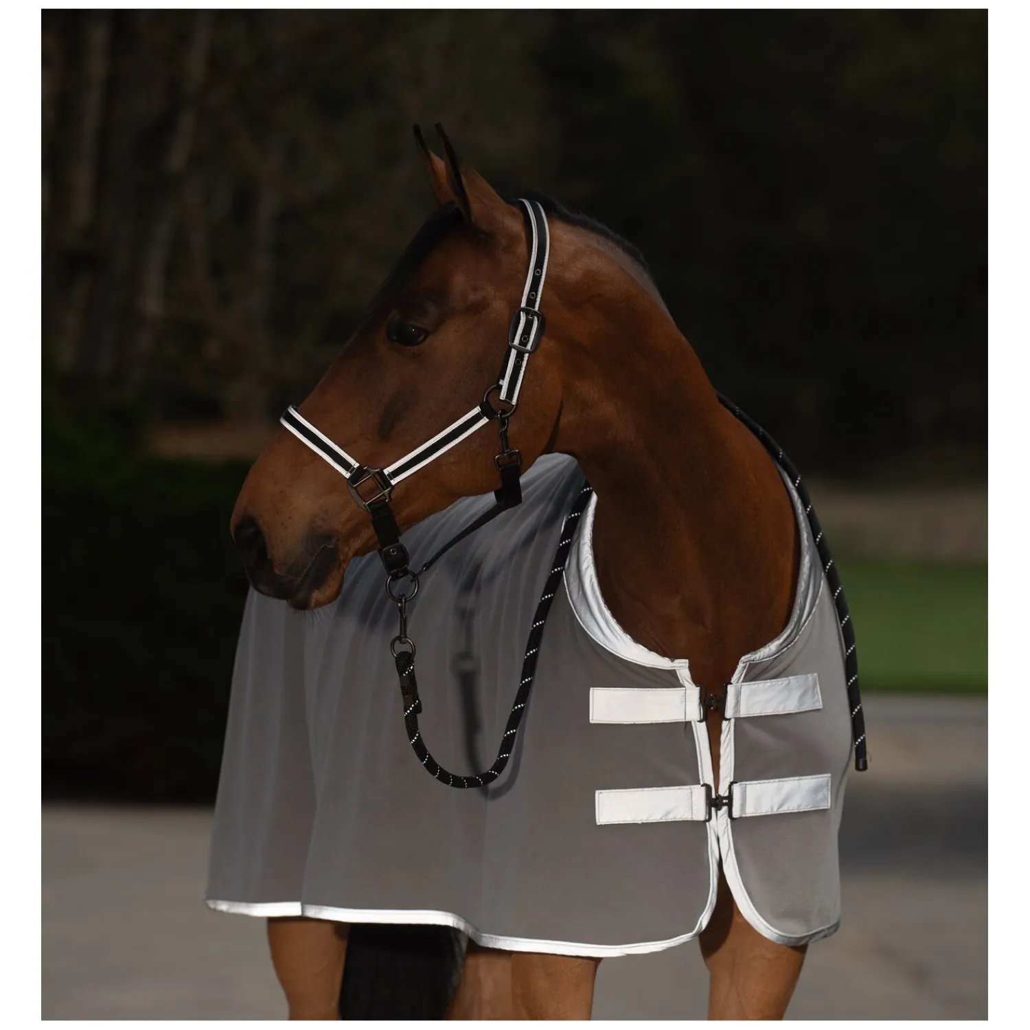 Horse-friends Pferdedecken|Transportdecken<PROTECT by Reflektierende Abschwitzdecke