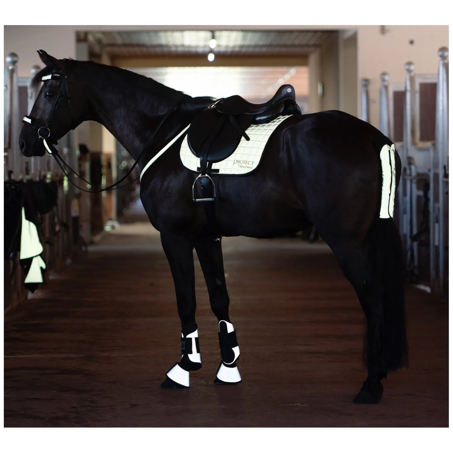 PROTECT by Horse-Friends Sättel & Zubehör|Schabracken<Schabracke