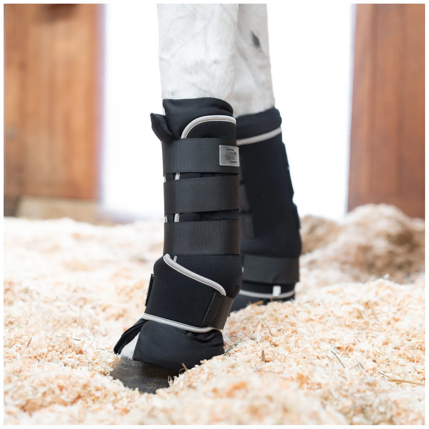 PROTECT by Horse-Friends Transportgamaschen|Gamaschen<tagaachen