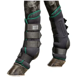 PROTECT by Horse-Friends Gamaschen|Therapie<Stagaaschen agnetic