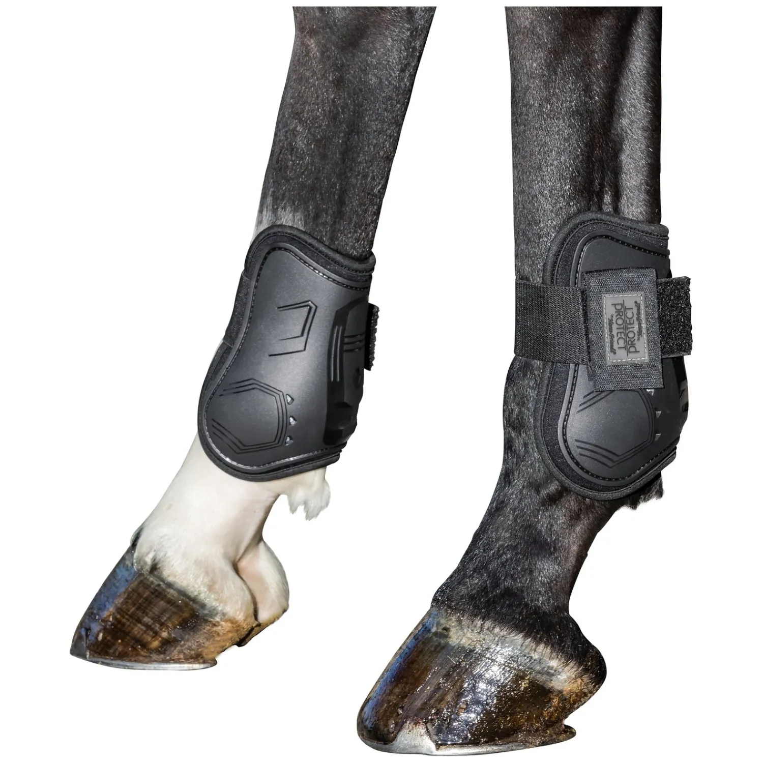 PROTECT by Horse-Friends Streichkappen<Streichkappen Córdoba