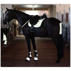 Loesdau Sättel & Zubehör|Sattelzubehör<PROTECT by Horse-friends Vorderzeug