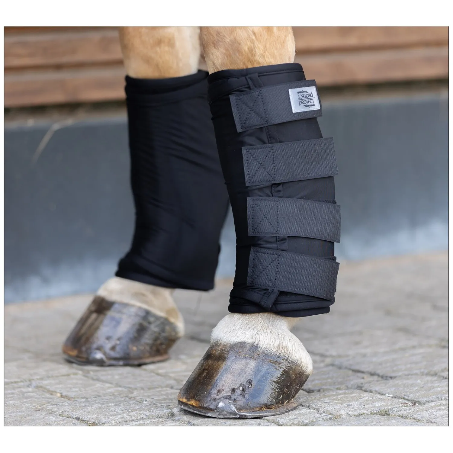 Loesdau Abkühlen Und Regenerieren|Gamaschen<PROTECT by Horse-Friends Wärme- und Kühlbandage