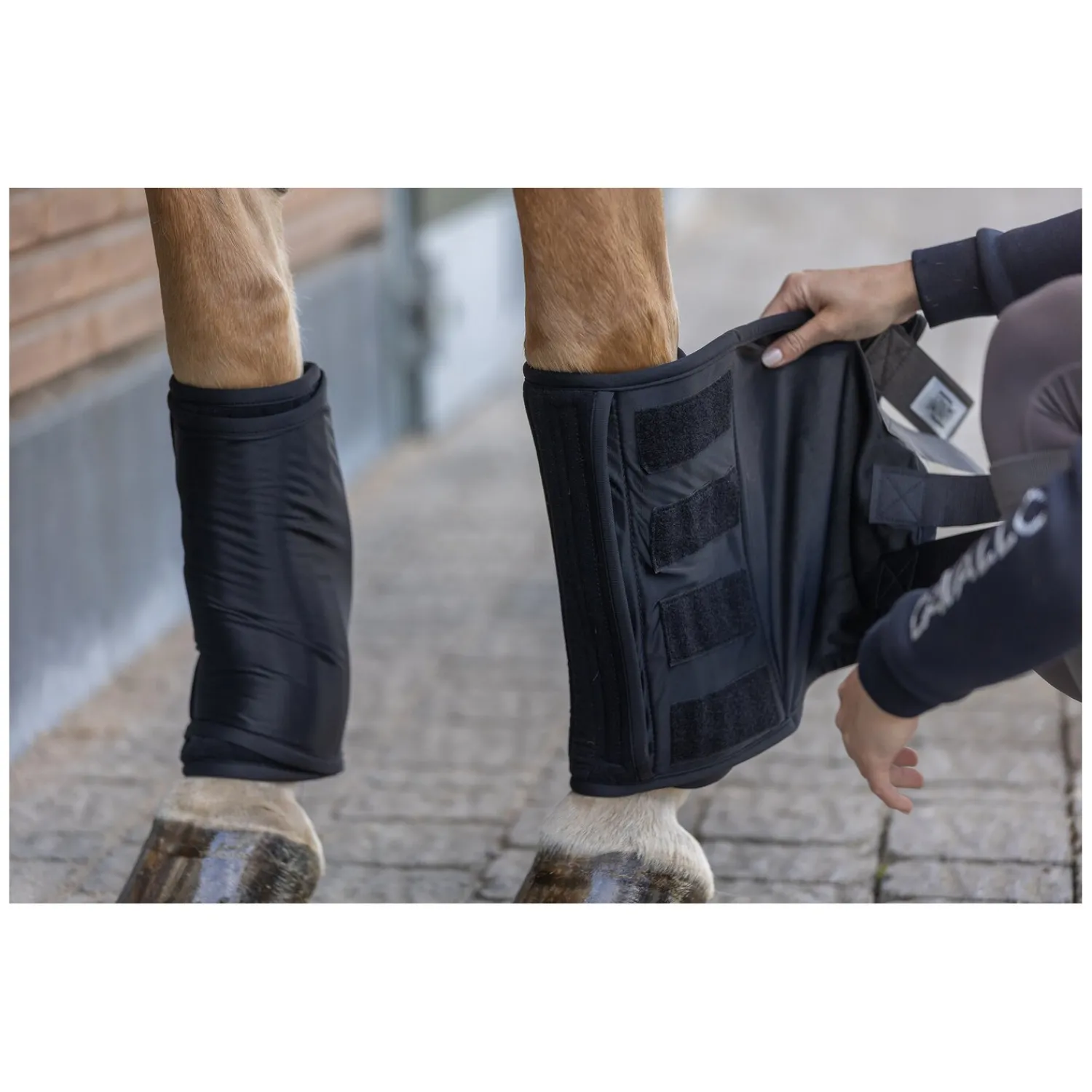 Loesdau Abkühlen Und Regenerieren|Gamaschen<PROTECT by Horse-Friends Wärme- und Kühlbandage