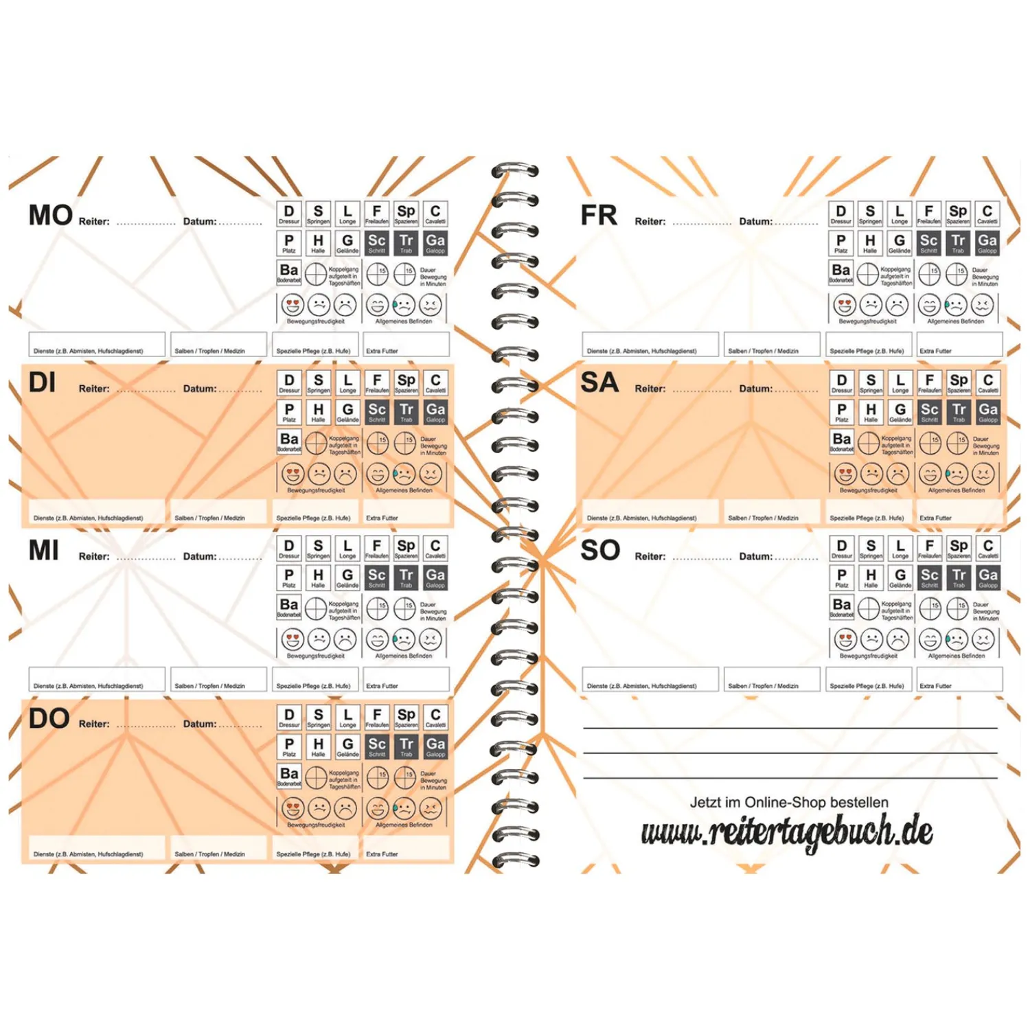 Loesdau Geschenke Für Reiter|Bücher & Multimedia<Reitertagebuch - Exklusiv Edition Dauerkalender