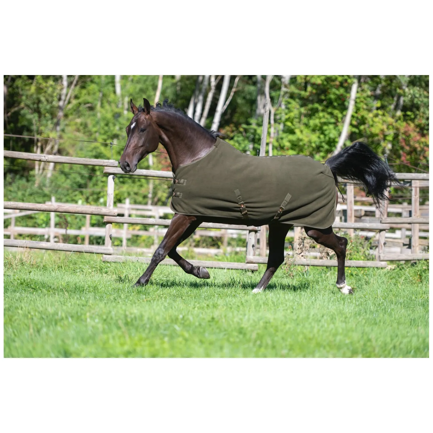 RIDE now Pferdedecken|Transportdecken<Abschwitzdecke Luton